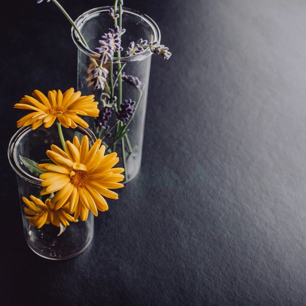 Marigold and lavender background photo