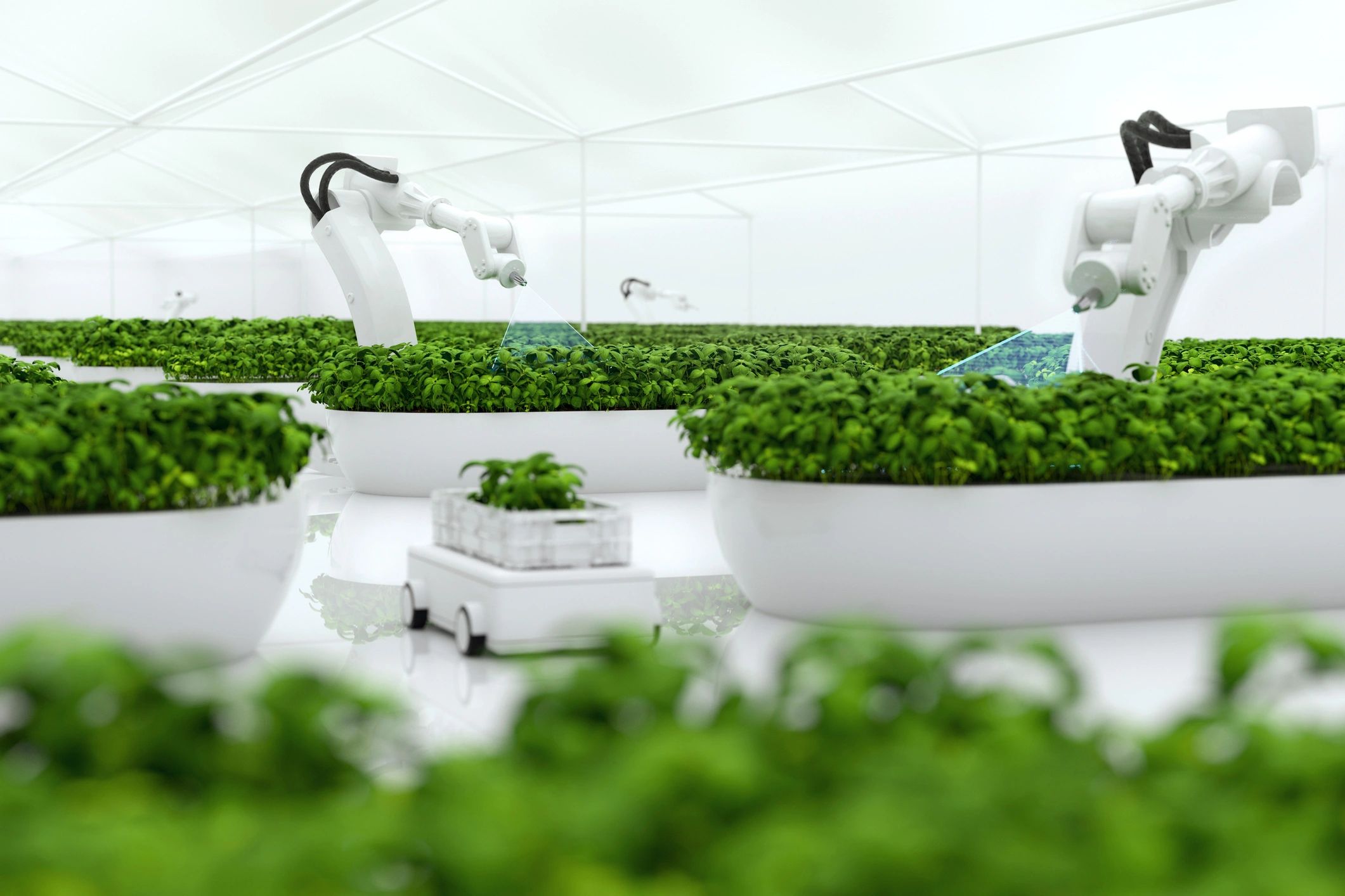 Technology-assisted cultivation of research plants