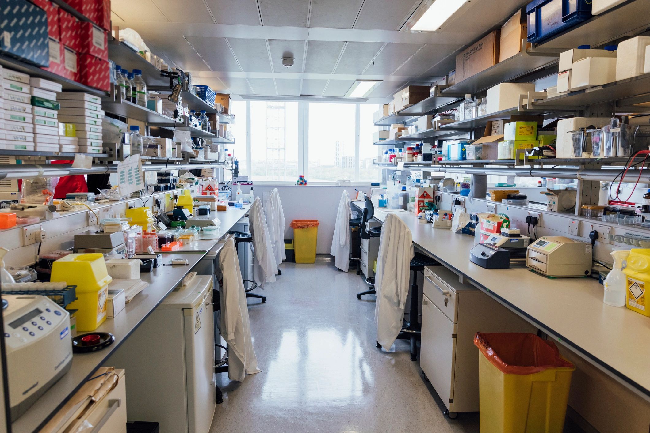 Modern laboratory interior supporting botanical bioscience research