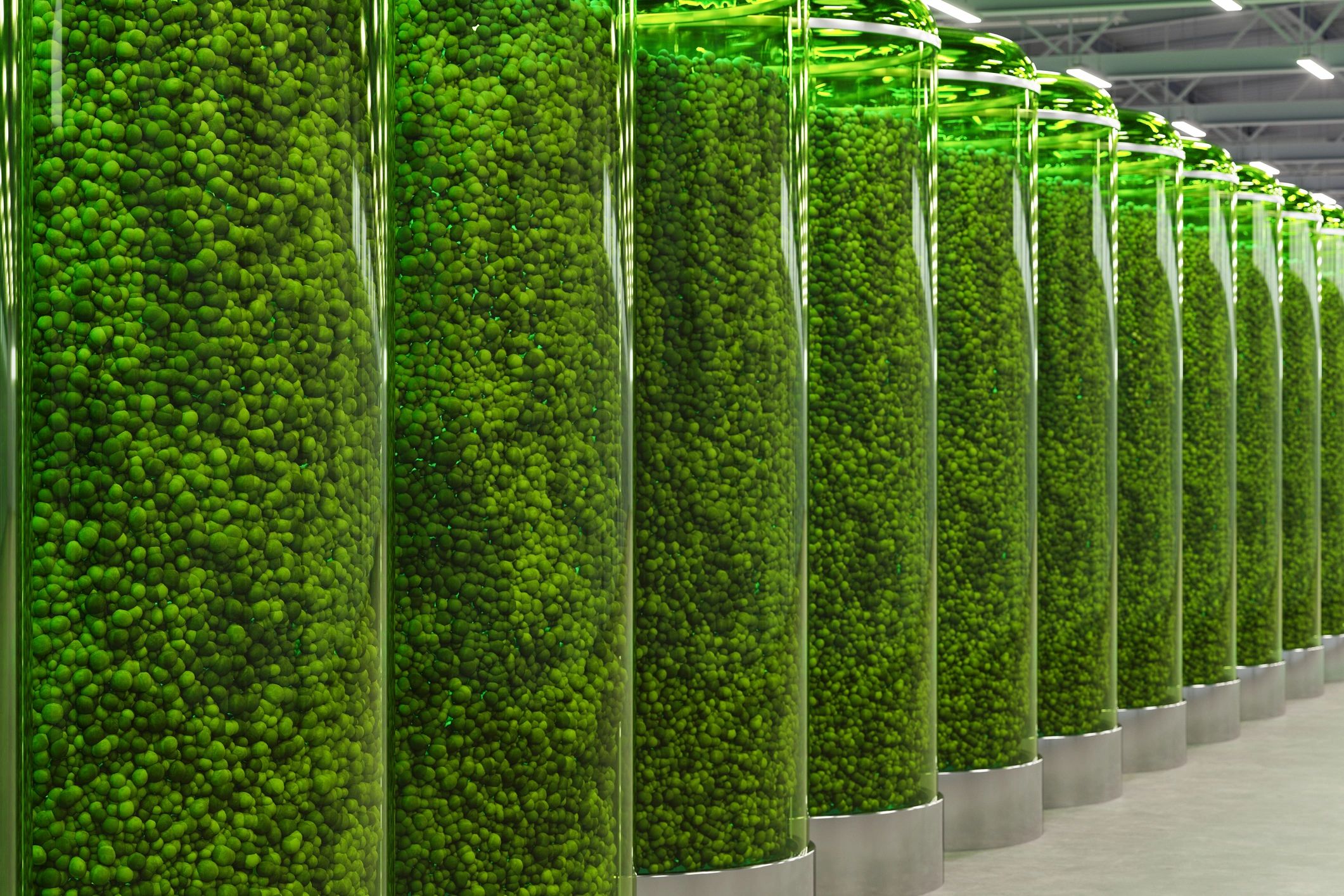Tubular algae bioreactors representing controlled bioscience processes
