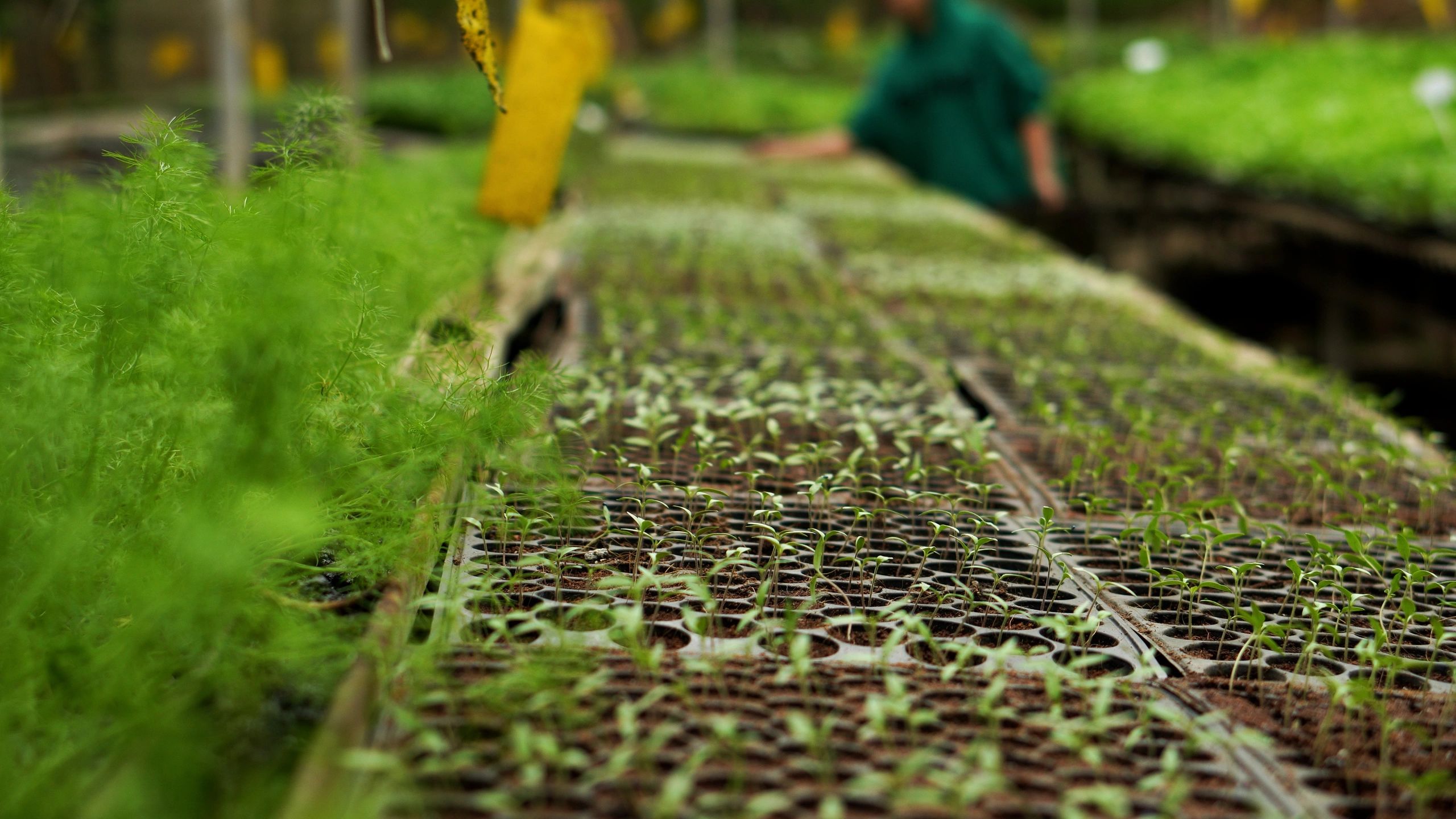 Modern plant-focused research setting supporting bioscience development